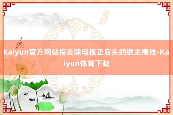 kaiyun官方网站指去除电板正后头的银主栅线-Kaiyun体育下载