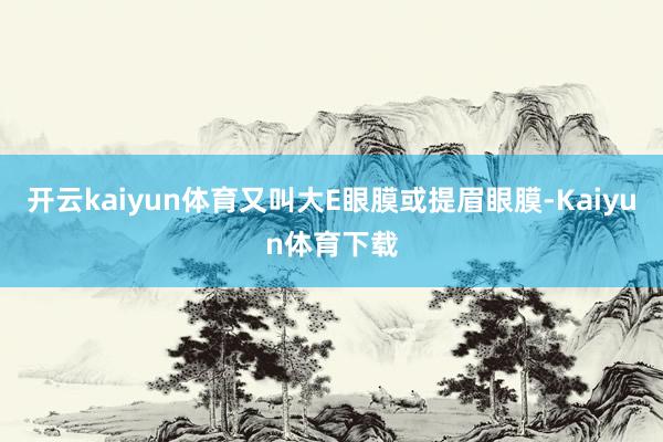 开云kaiyun体育又叫大E眼膜或提眉眼膜-Kaiyun体育下载