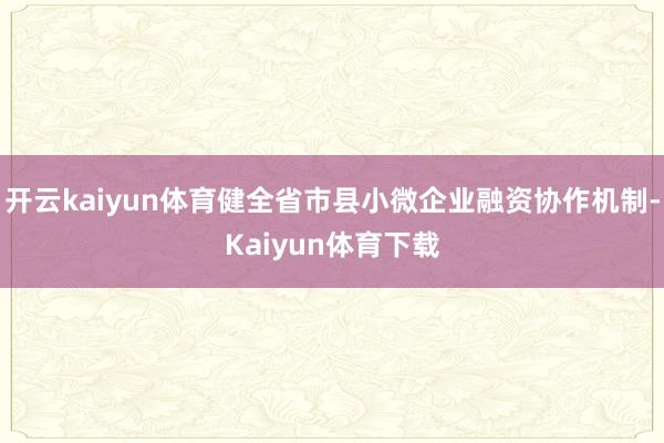 开云kaiyun体育健全省市县小微企业融资协作机制-Kaiyun体育下载